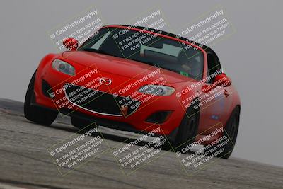 media/Nov-28-2025-Speed SF (Fri) [[b9fcb3577c]]/Blue/Session 2 (Grapevine)/